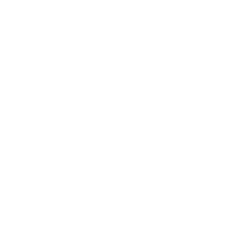Földesi Zsolt logo